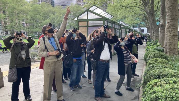 Group of birders with binoculars looking up at trees
