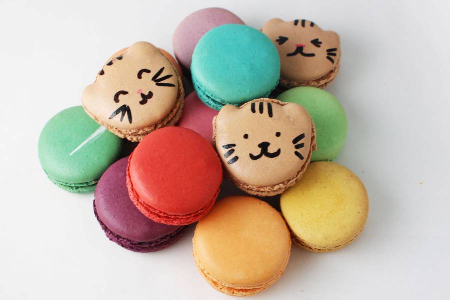 Cat macarons on a plate on display.
