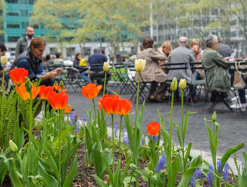 Tulips and flowers in the foreground, and the lawn with visitors in the background at Bryant Park in New York City.