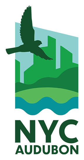 NYC Audubon logo